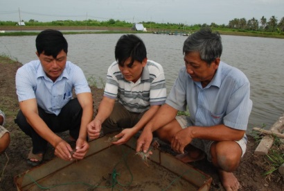 Cà Mau Tạo đột phá cho nghề nuôi tôm