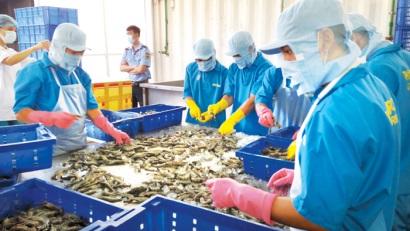 Xuất khẩu thủy sản vào EU Cơ hội từ cam kết trong EVFTA