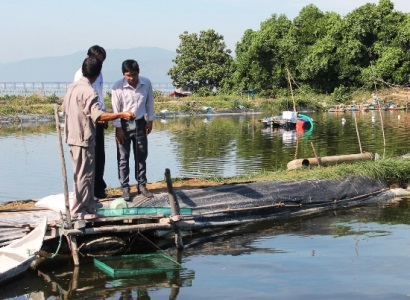 Nuôi ghép tôm thẻ chân trắng với cá rô phi đơn tính Lợi nhiều bề
