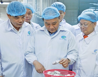 Nghiêm túc - chặt chẽ - kịp thời trong chỉ đạo nuôi tôm siêu thâm canh