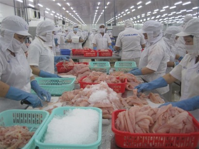 Đã gửi Mỹ hồ sơ công nhận tương đương cho cá tra