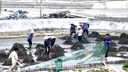 Nam Định Mô hình nuôi tu hài, nuôi hàu ở Hải Hậu