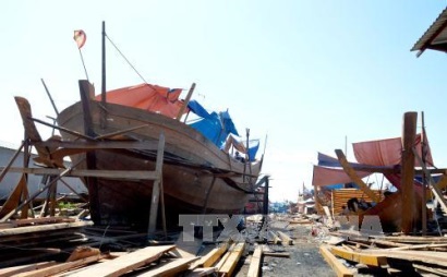 Đà Nẵng tái cơ cấu đội tàu, nâng cao giá trị khai thác hải sản xa bờ