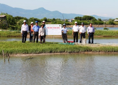 Bình Định Hiệu quả từ mô hình nuôi cua xanh thương phẩm