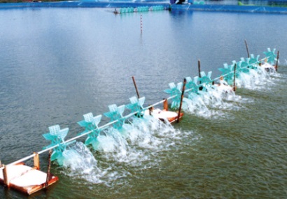 Bến Tre Khai thác thủy sản đạt hơn 217 nghìn tấn