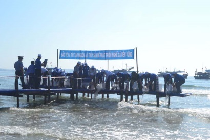 Quảng Ngãi hướng đến khai thác, phát triển thủy sản bền vững