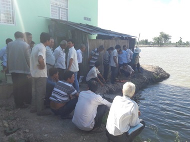 Tập huấn kỹ thuật nuôi tôm càng xanh toàn đực trong ruộng lúa