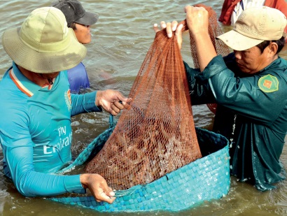 Liên kết theo chuỗi giá trị Cách tiếp cận vốn hiệu quả cho ngành thủy sản