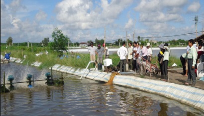 Kiên Giang Sản lượng thủy sản đánh bắt tăng cao