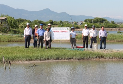 Bình Định Hiệu quả mô hình nuôi cua xanh thương phẩm