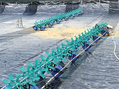 Cà Mau Cải tiến tất cả các hình thức nuôi tôm