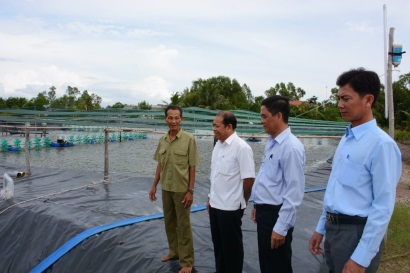 Đầm Dơi (Cà Mau) Nuôi tôm siêu thâm canh gắn với bảo vệ môi trường