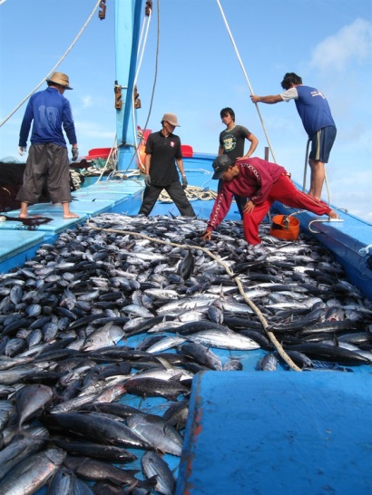 Hải sản vào Mỹ sẽ bị giám sát nguồn gốc