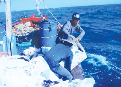 Bình Thuận Thành công mô hình quản lý nguồn lợi sò lông