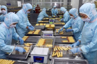 Bảo đảm quy chuẩn môi trường trong chế biến thủy sản Doanh nghiệp than khó