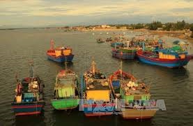 Điều chỉnh thói quen đánh bắt trước thẻ vàng của EC với thủy sản Việt