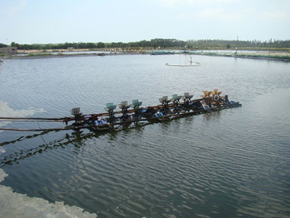 Bình Thuận Tăng cường phòng bệnh thủy sản