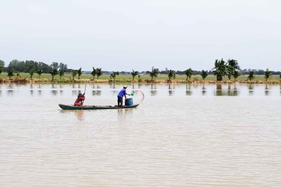 Vùng Đồng Tháp Mười Cần phát huy thế mạnh nuôi thủy sản