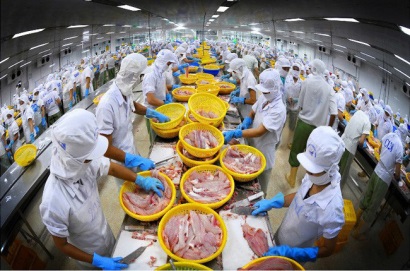 Vĩnh Hoàn (VHC) Doanh thu xuất khẩu tháng 10 đạt 31,7 triệu USD, gấp rưỡi cùng kỳ