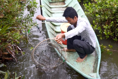 Nuôi tôm quảng canh cải tiến hiệu quả bền vững