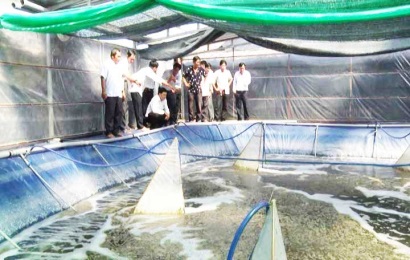 Long An Cần Giuộc ứng dụng nuôi tôm công nghệ cao