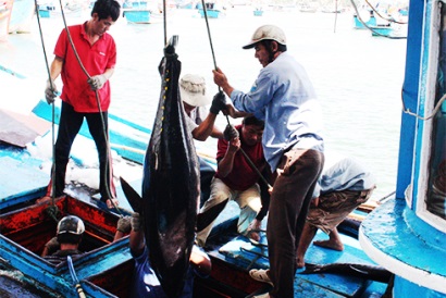 Khắc phục thẻ vàng của EU đối với hải sản xuất khẩu