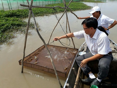 An Giang Hiệu quả mô hình tôm - lúa ở An Phú
