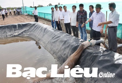 Bạc Liêu Hiệu quả từ những mô hình nuôi tôm ứng dụng công nghệ cao