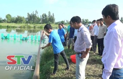 Mỹ Tú (Sóc Trăng) Hội thảo trình diễn mô hình nuôi tôm càng xanh toàn đực