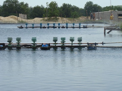 Bình Thuận Mô hình tiết kiệm điện Ứng dụng hiệu quả cho hộ nuôi tôm