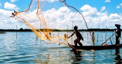 Tăng sở hữu Thực phẩm Sao Ta, năm 2017 Thủy sản Bến Tre lãi khoảng 35 tỷ đồng