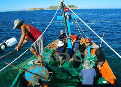 Bình Định Thiếu lao động nghề biển