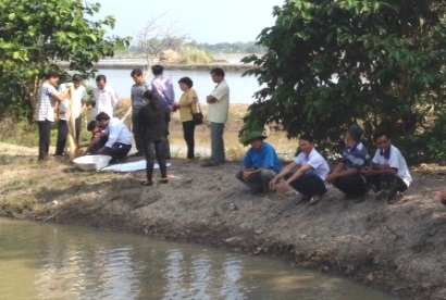 Đồng Tháp Sơ kết mô hình nuôi luân canh tôm càng xanh - lúa