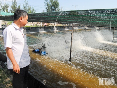Ninh Thuận Tín hiệu vui từ nuôi tôm nước lợ