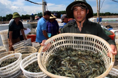 Đột phá giống thủy sản
