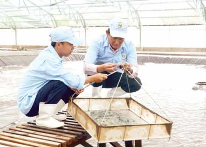 12018, Bạc Liêu chính thức khởi công Khu NNCNC phát triển tôm