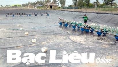 Bạc Liêu Thông báo lịch thời vụ nuôi trồng thủy sản 2018