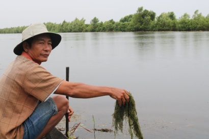 Bền vững nuôi tôm quảng canh cải tiến