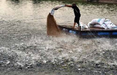 Cuối tháng 4 sẽ thoát thẻ vàng của EU, thủy sản XK đạt 9 tỷ USD