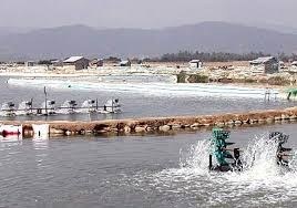 Sản lượng nuôi trồng thủy sản tháng 22018 tăng