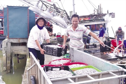 Ngư dân miền Trung vươn khơi đón lộc biển