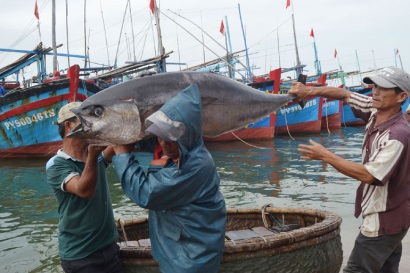 Nhiều kỳ vọng mùa biển mới