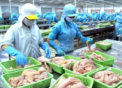 Doanh nghiệp cần làm gì khi xuất khẩu thủy hải sản vào Hoa Kỳ