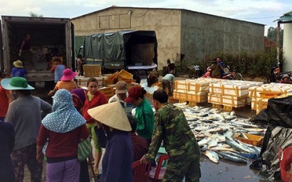 Ngư dân Quảng Ngãi trúng đậm lộc biển