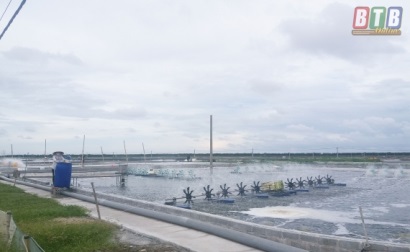 Tiền Hải (Thái Bình) Phát triển nuôi tôm công nghệ cao