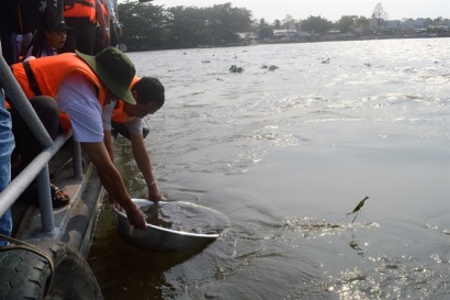 Kiên Giang thả hàng triệu con giống thủy sản về tự nhiên