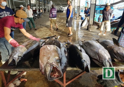 “Sản phẩm xuất khẩu thủy sản phải chiến lược, có giá trị cao”