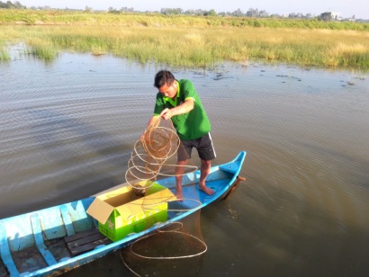 Trúng mùa lúa, được vụ tôm