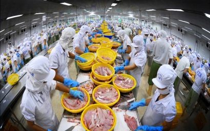 Giá bán tăng mạnh, Vĩnh Hoàn (VHC) xuất khẩu gần 76 triệu USD trong quý 12018 - tăng 30% so với cùng kỳ