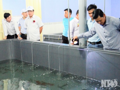 Ninh Thuận Nuôi trồng thủy sản tiếp tục khởi sắc